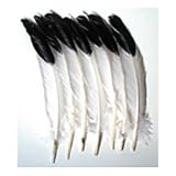 Imitation Eagle Feathers - Pack of 12
