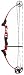 GENESIS ARCHERY MINI GENESIS COMPOUND BOW KIT -- 14