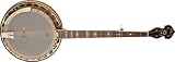 Washburn Vintage Series B120K Banjo - B001L8NFGG