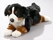 Leosco Berner Sennenhund aus Pl�sch, ca. 40cm