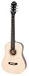 Epiphone Expedition Travel Guitar with Solid Spruce Top