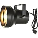Chauvet PAR 36 Pinspot with Bulb