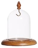 Pocket Watch Glass Display Dome with Hook, Oak Base & knob