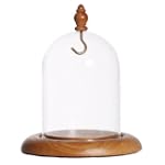 Pocket Watch Glass Display Dome with Hook, Oak Base & knob