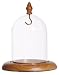 Pocket Watch Glass Display Dome with Hook, Oak Base & knob image 2