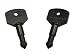 Tools & Hardware : Snow Joe Replacement Key 322-102-SJ322