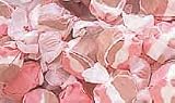 Neapolitan Gourmet Salt Water Taffy 1 Pound Bag