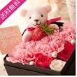 母の日 カーネーションBOX