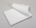 Pentax Fanfold Perforated Paper 1000 Sheets (205494)