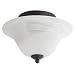 Globe 6260901 Enersaver Energy Star Qualified Semi-Flush Mount, Oil-Rubbed Bronze with Alabaster Glass Shade