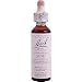 Vine Tinture 20 ml, 0.70 fl. oz.