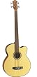 Michael Kelly Firefly Four 4 String Acoustic Bass, Natural