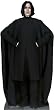 Professor Snape (Harry Potter and the Half-Blood Prince) Life-Size Standup Poster