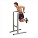 Body Solid GDIP59 Dip Station