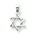 14k White Gold 3-D Star of David Pendant