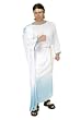 New Adult Greek God Costume Great for Toga Parties