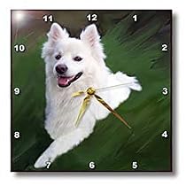 Dogs American Eskimo - American Eskimo - Wall Clocks