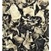 Woodear Mushrooms 16 oz.