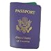 Passport Holder in Violet and Kelly Green by Baekgaard