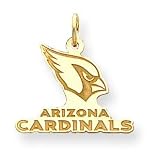 14K Arizona Cardinals Medium Logo w/Name