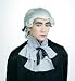 Viscount Wig (gray) Adult Halloween Costume Accessory (B660-681)