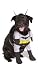 Batman Deluxe Dog Costume