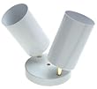 Westinghouse #66682 2 Light White Ceiling Fixture