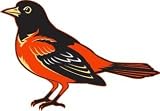 Baltimore Orioles Auto Car Wall Decal Sticker Graphic