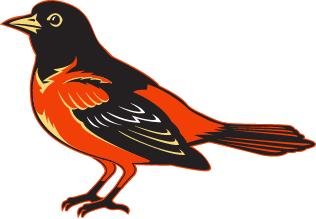 Baltimore Orioles Full Size Helmet 3M Decal Sticker