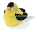 Wildlife / Domestic Animals : American Goldfinch Bird with Sound 6