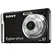 Sony DSC W90 (Black)