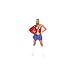 Plus Size Wonder Woman Costume