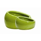 Living World Ergonomic Dish