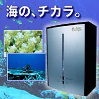 ������������ �ꡦ�ܡ���ƥ�ԡ� US-2100