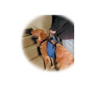 Lift-N-Aid Mobility Harness-Large