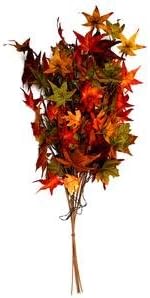 GKI Bethlehem 27195 - 36" Harvest Leaf Battery Operated LED Lighted Bouquet with Timer (30 Frosted Warm White Lights) for Halloween