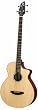 Breedlove Passport B35 32 Scale Acoustic Electric Bass