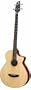 Breedlove Passport B35 32 Scale Acoustic Electric Bass