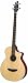 Breedlove Passport B35 32 Scale Acoustic Electric Bass