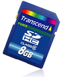 Transcend 8 GB SDHC Class 6 Flash Memory Card TS8GSDHC6