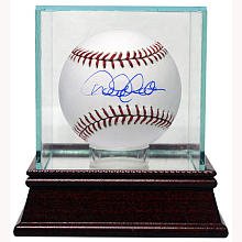 Steiner Sports Single Baseball Glass Display Case