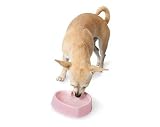 Doskocil #23199 Medium PNK Heart Dog Bowl
