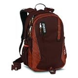 Jansport Agave Backpack Style# TVV1-3cc