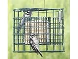 Duncraft Squirrel Proof Suet Haven Bird Feeder