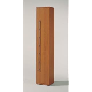 Wellemöbel Aktenschrank Combi+ mit 1 Tür (Farbe: kirschbaumfarben)