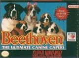 Beethoven Beethoven