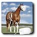 Horse - Champion Paint Quarter Horse - Mouse Pads Image
