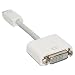 HDE Mini-DVI to DVI-D Adapter Cable for Apple Mac
