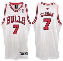 Ben Gordon Chicago Bulls #7 Authentic Adidas NBA Basketball Jersey (Home White)