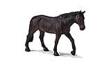 Holstein Mare